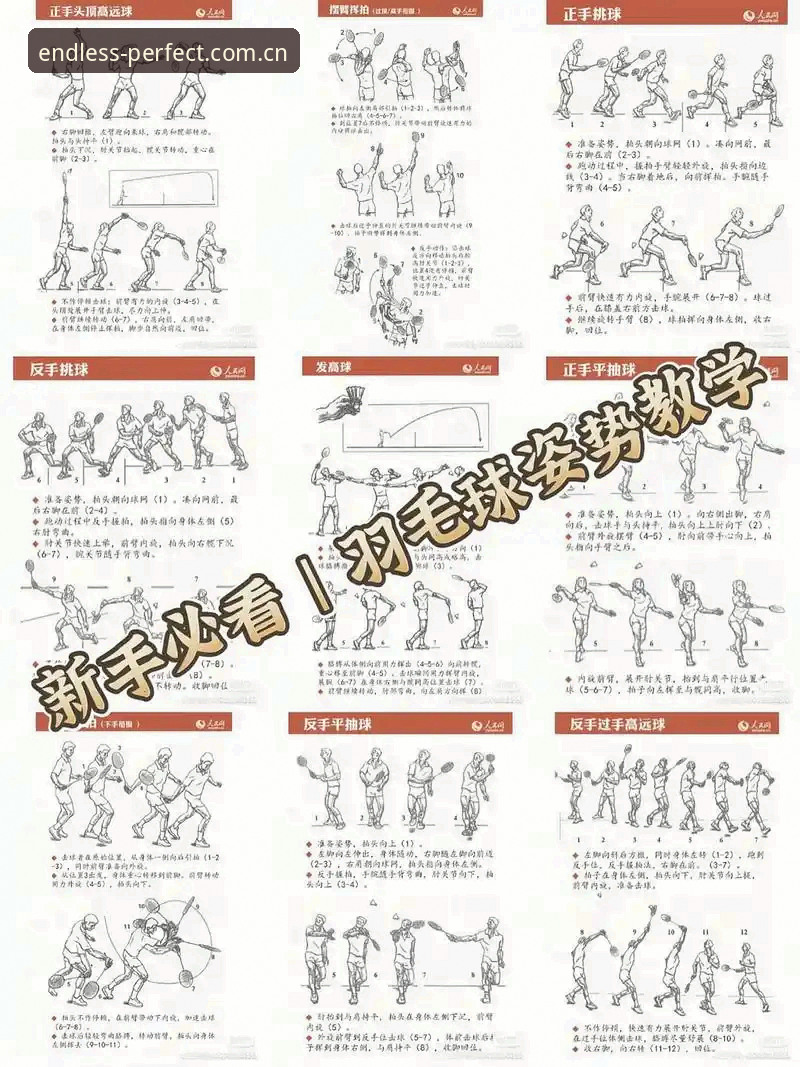 完美体育使用教程使用技巧 完美体育使用教程:从零开始掌握操作技巧与最新功能